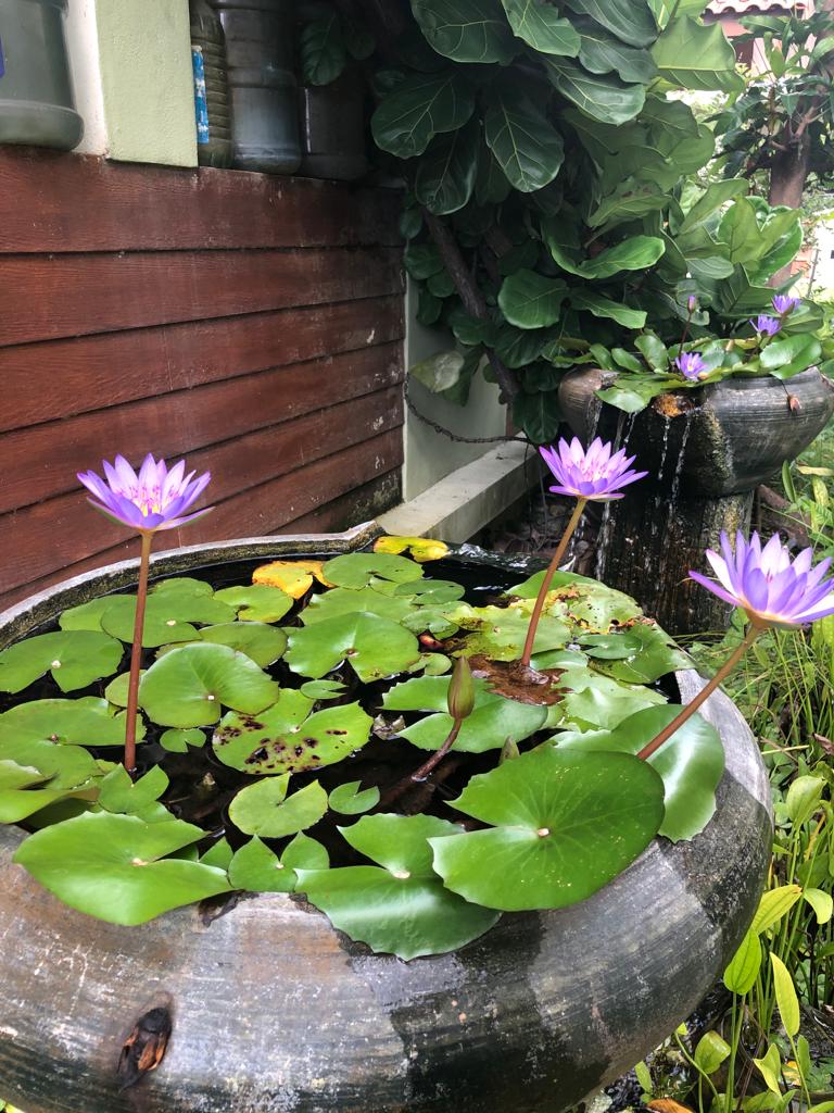 autism, kids, hyperactive